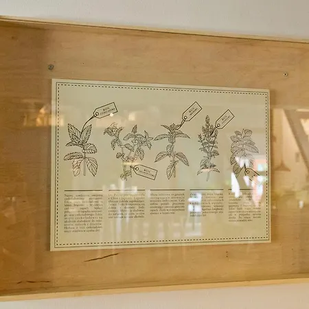 Zagroda Bamberska 3*